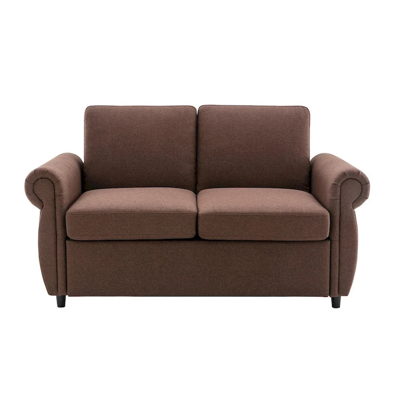 Pull-Out Loveseat Sleeper Sofa with Twin Memory Foam Mattress